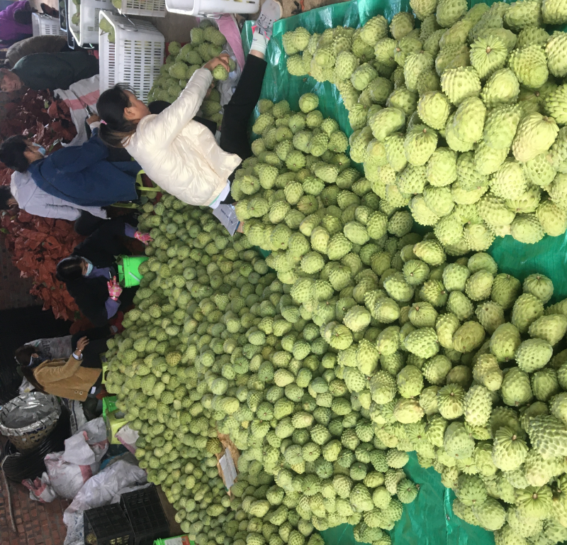 释迦果