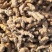 野生土茯苓白肉不变色无硫不打药新鲜现挖