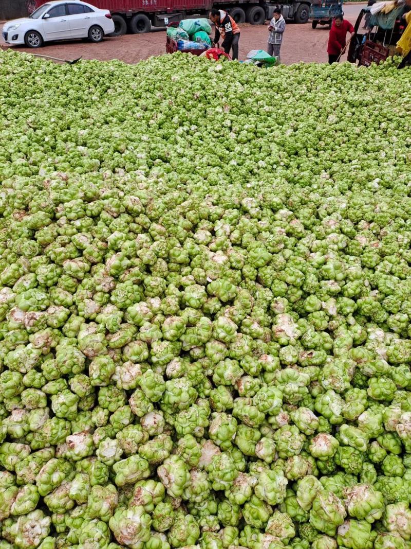 【推荐】四川榨菜头大量上市基地直发需要的老板欢迎咨询