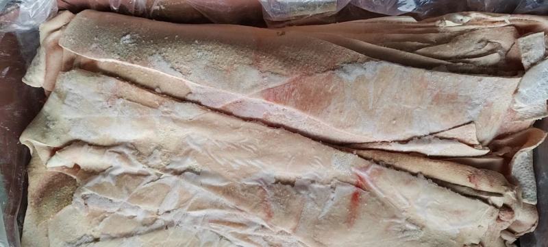 猪皮。干净无毛去油，猪皮冻红烧猪皮。快餐熟食店专用食材。