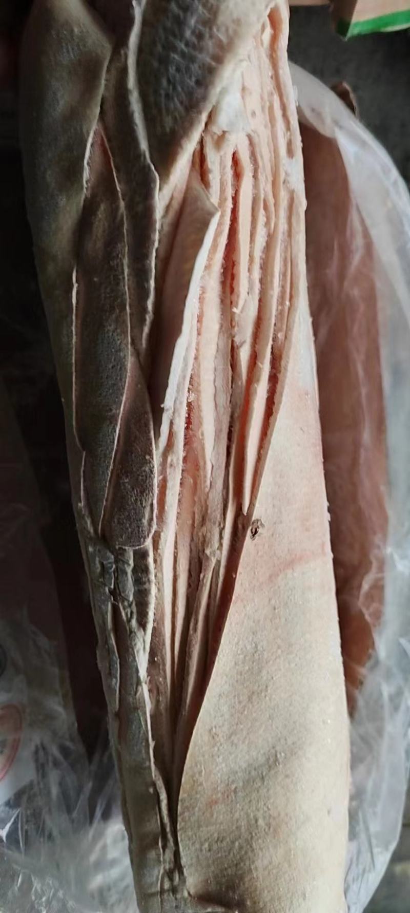 猪皮。干净无毛去油，猪皮冻红烧猪皮。快餐熟食店专用食材。