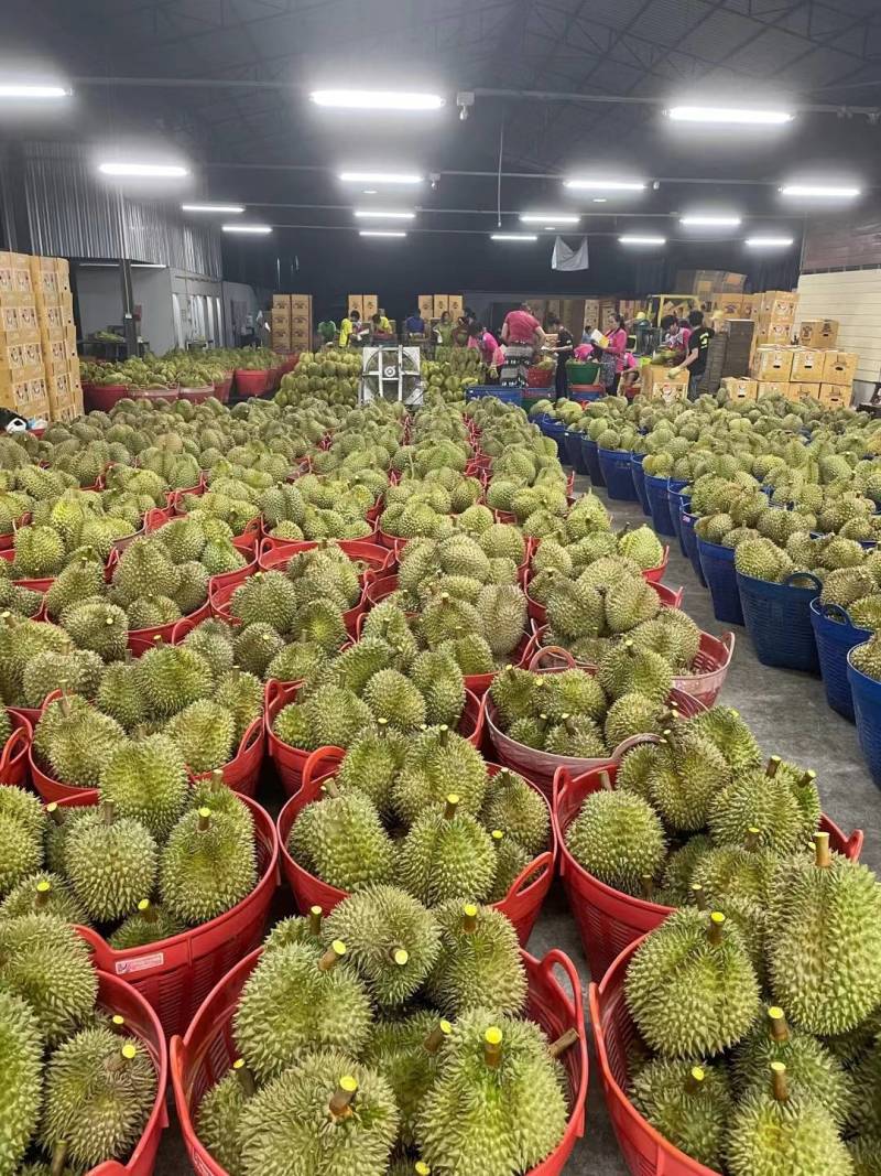 榴莲电商一件代发，全平台对接淘宝，**，拼多多，直播