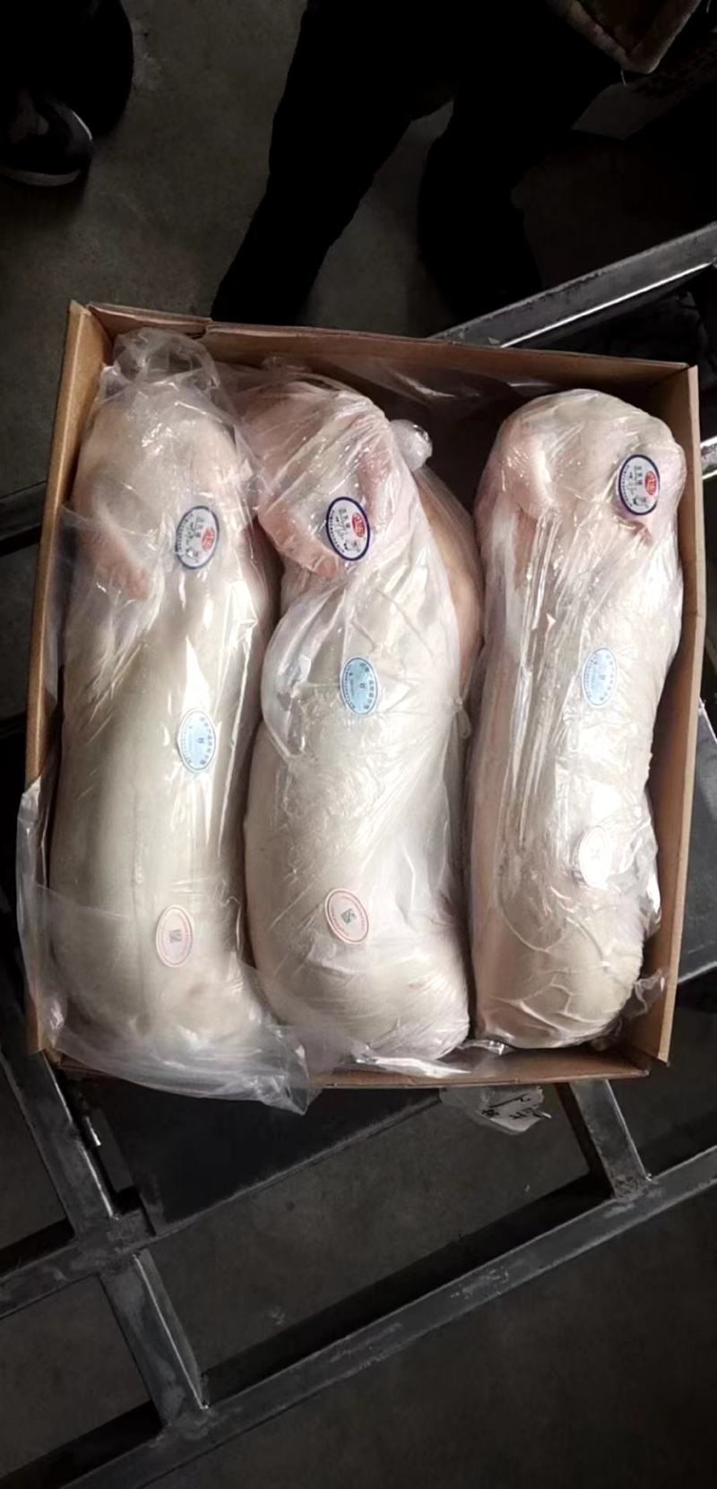乳猪一只12-14斤左右，干净无毛，鲜度好，酒店山庄食材