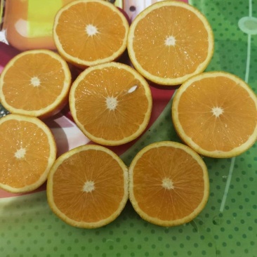 湖南麻阳冰糖橙大量到货，一袋4斤装，口感纯甜汁水充足，