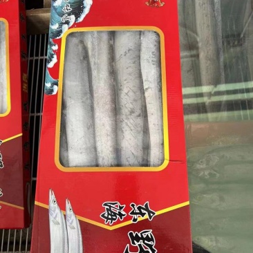 舟山优质带鱼礼盒