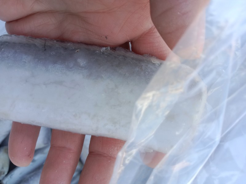 年货热卖散装带鱼段直选中段电商团购！！！