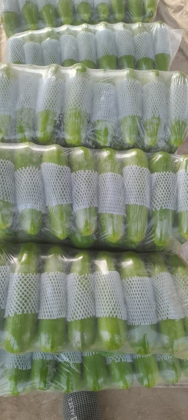 西葫芦西红柿