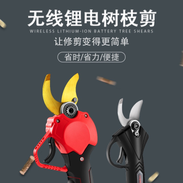 电动剪刀锂电果树修枝剪园林园艺