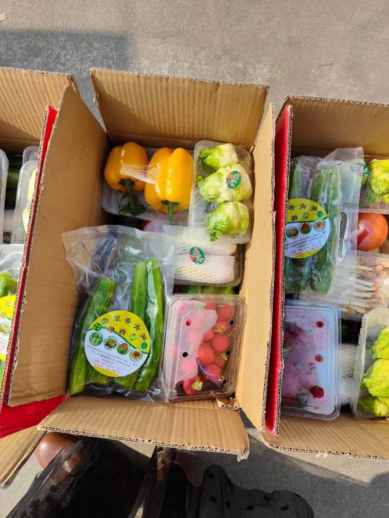 海纳果蔬精品套菜