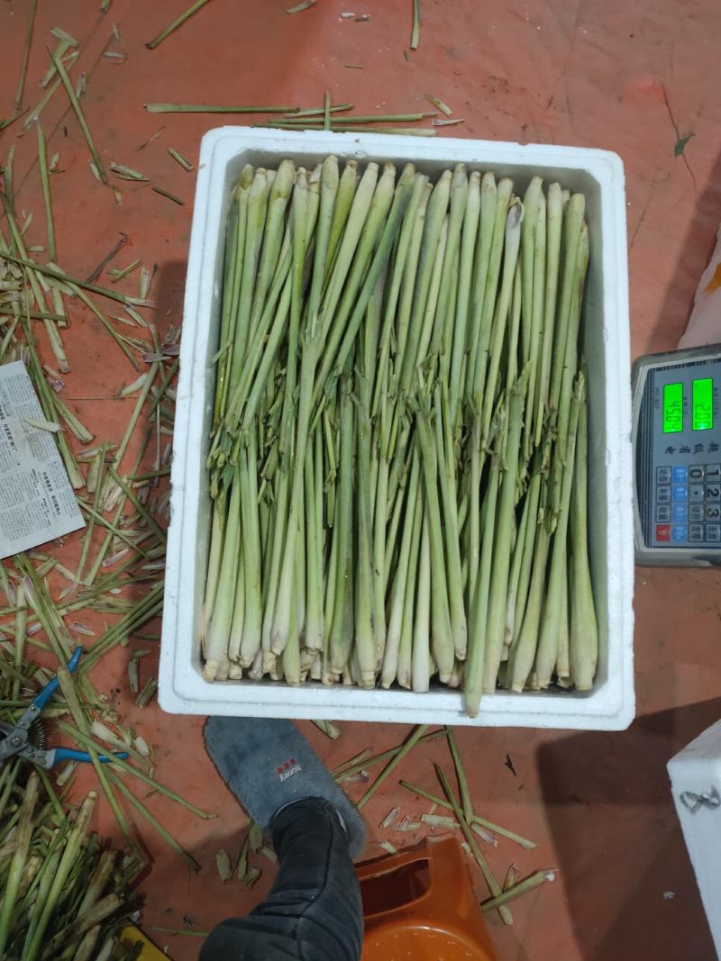 泰国香茅草香茅草批发冬阴功火锅奶茶香料