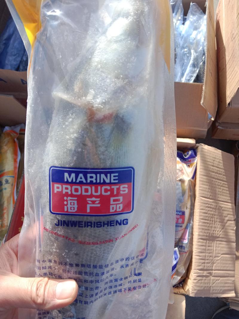 海鲈鱼鲜冻独立包装年货送礼商用！！！！！