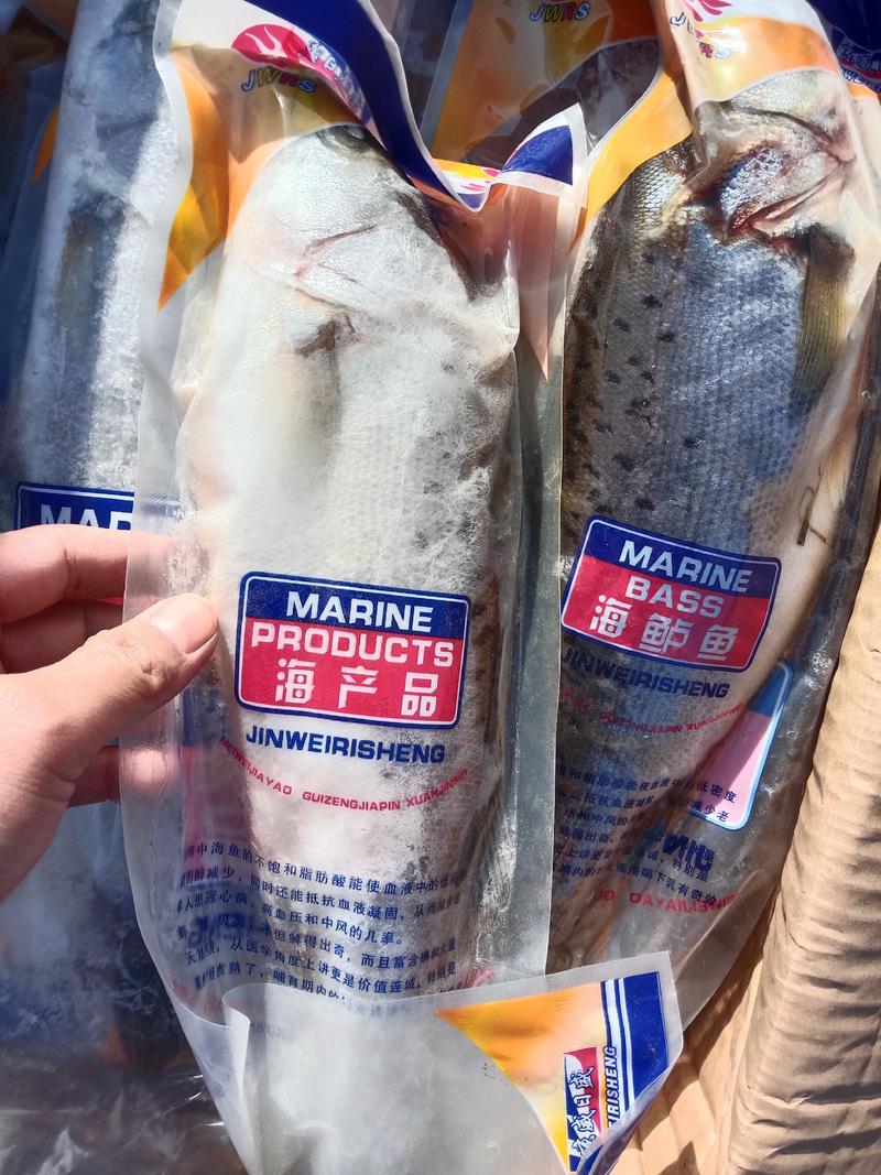 海鲈鱼鲜冻独立包装年货送礼商用！！！！！