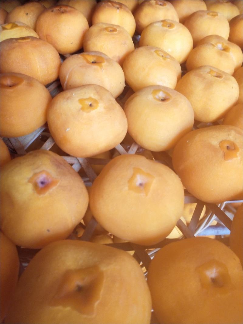 优质中饼装箱中