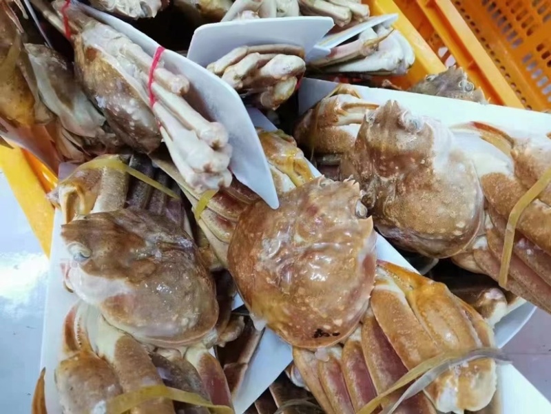 上海宝山江阳水产品板蟹，品质保证，量大从优欢迎采购