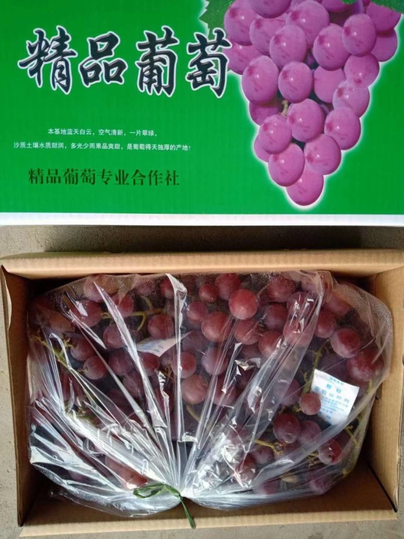 河北晋州冷库巨峰葡萄，电商对接，超市供货，甜甜