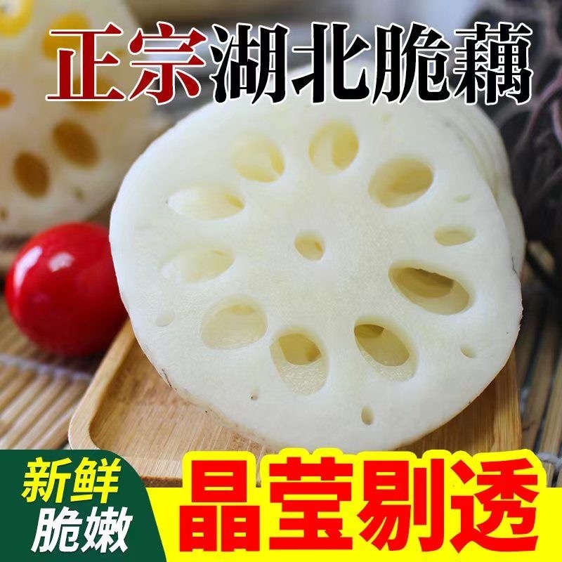 南阳莲藕，大量上市，批发，量大价优欢迎咨询下单