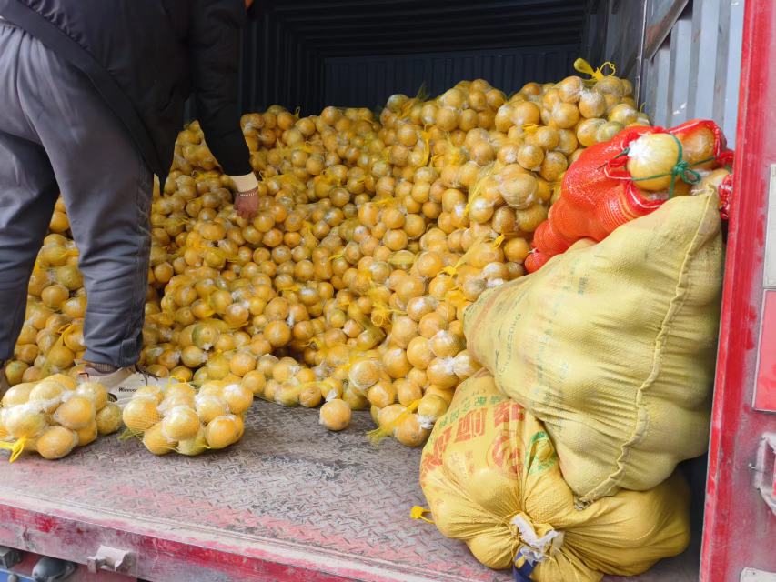 柠檬柚在市场中的销售场景