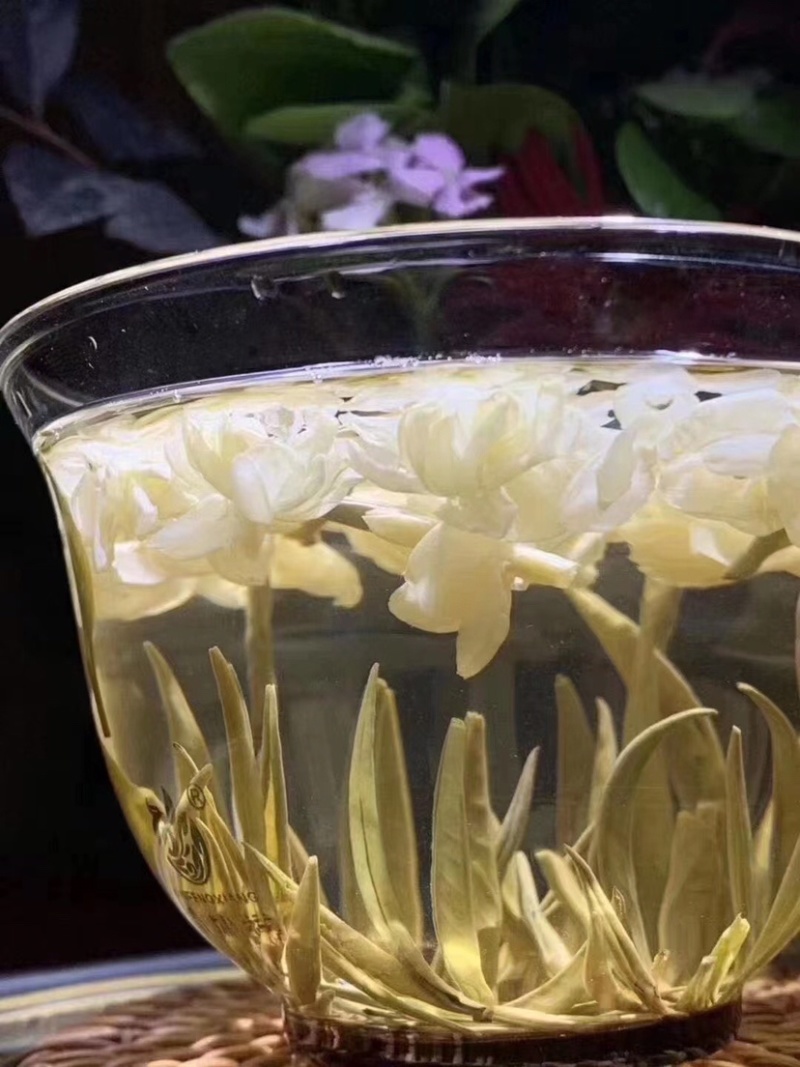 广西横州市茉莉花茶金针王飘雪浓香型花茶六窨茉莉花茶