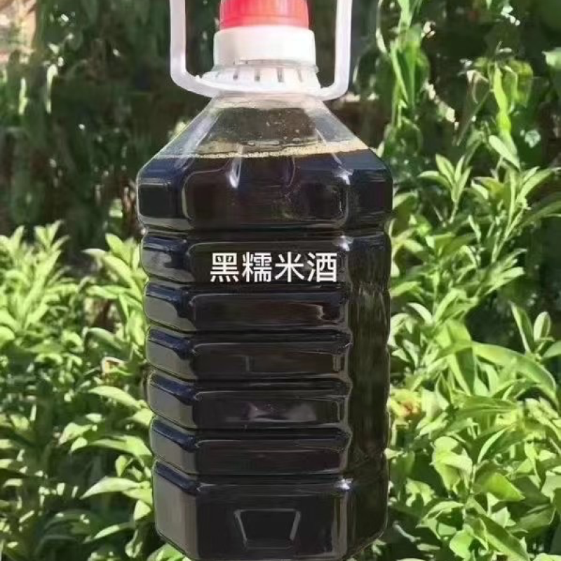 【品质保障】客家黑糯米酒/月子酒/甜酒黑米酒批发代发
