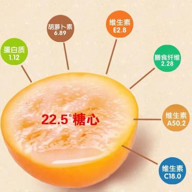 【精品】融安滑皮金桔，一手货源产地直发量大从优商超品质