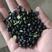黑豆瓣磨粉必备豆制品专用青仁黑豆半生产企业