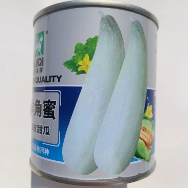 热销羊角蜜甜瓜种子羊角脆薄皮甜瓜种子羊角酥种子基地用