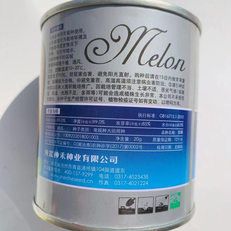热销羊角蜜甜瓜种子羊角脆薄皮甜瓜种子羊角酥种子基地用