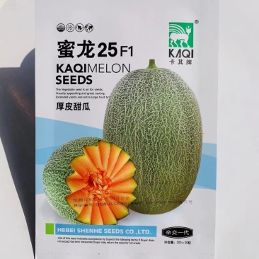 蜜龙25中熟厚皮甜瓜种子中心含糖量18度左右网纹甜瓜种