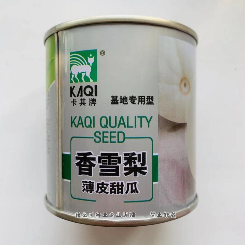 卡其香雪梨薄皮甜瓜种子基地专用种白皮甜瓜种子糖度高