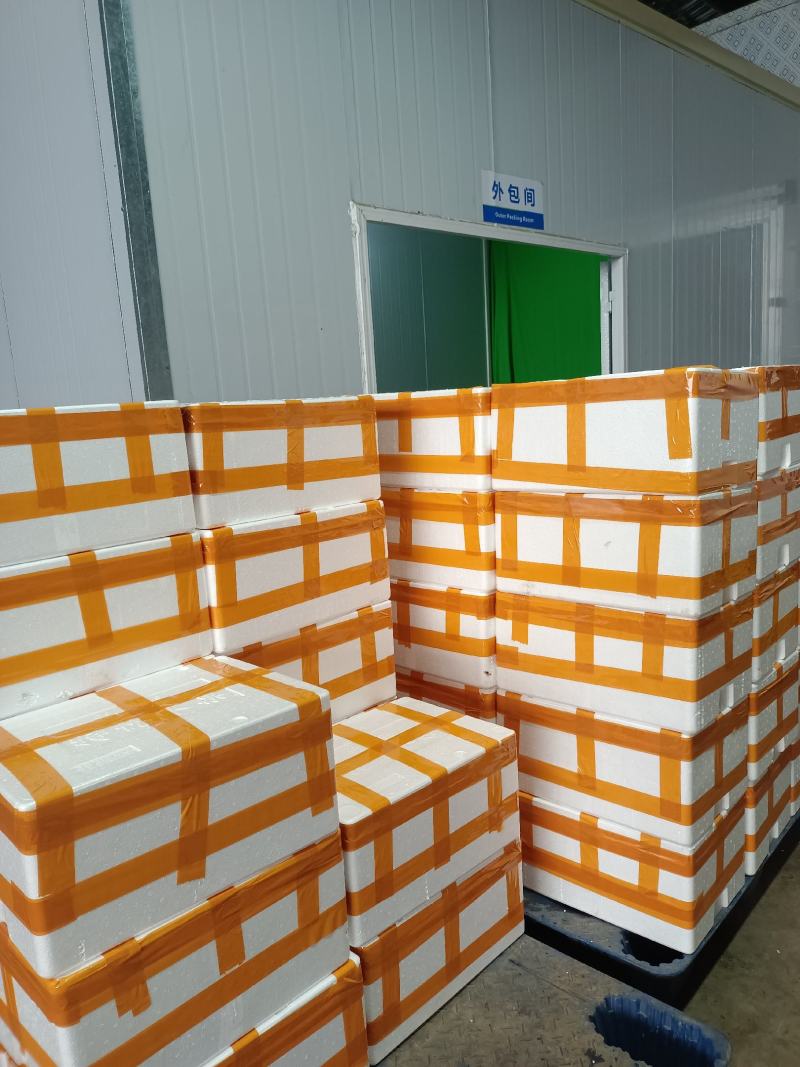 产地源头厂家荔浦芋头片300克每袋荔浦芋头块产地直发