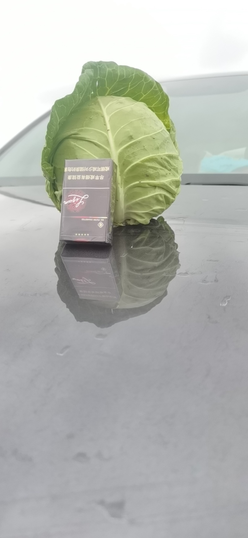 东台甘蓝圆包菜扁包菜不限量供应品质优，价格公道走货便利