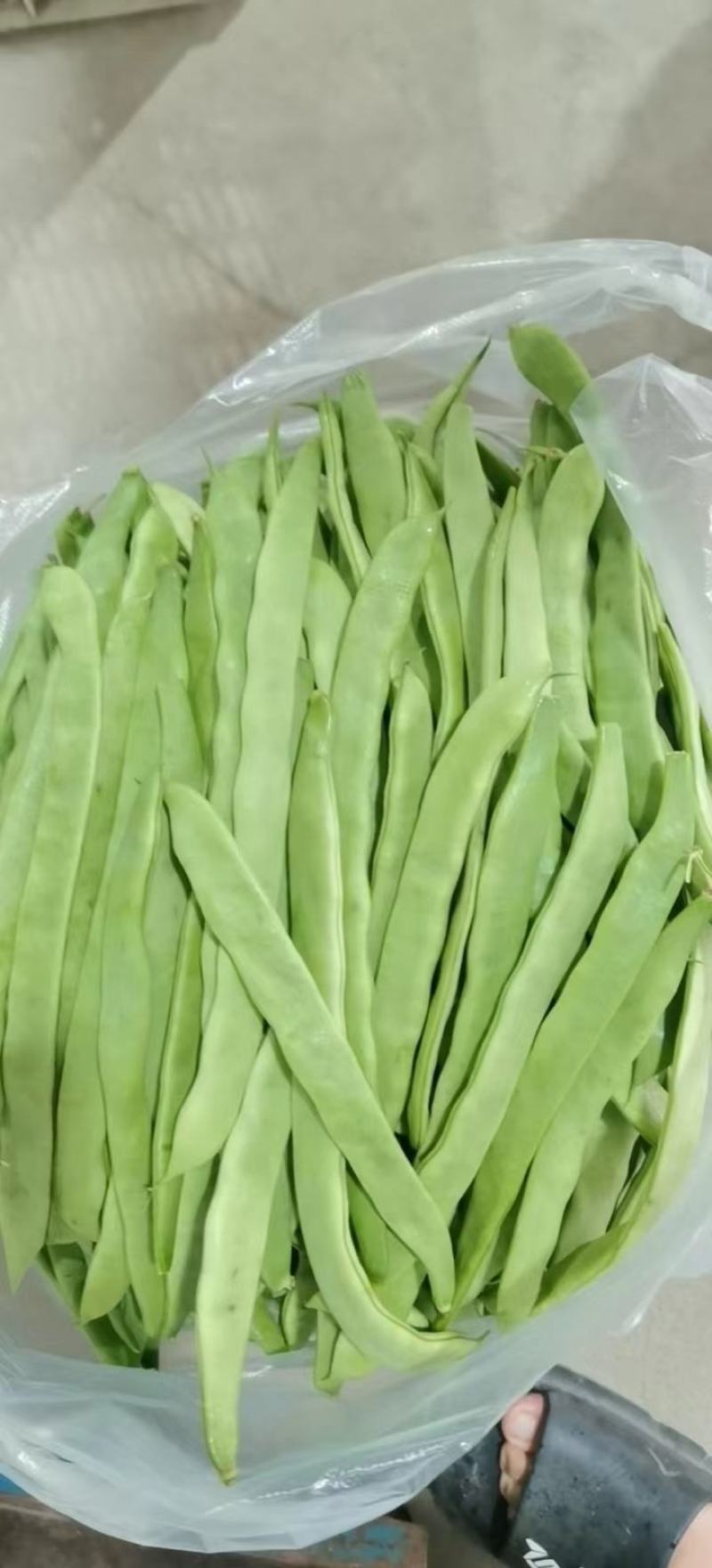 扁豆，基地种植，一手货源，自配冷库，支持各种规格包装