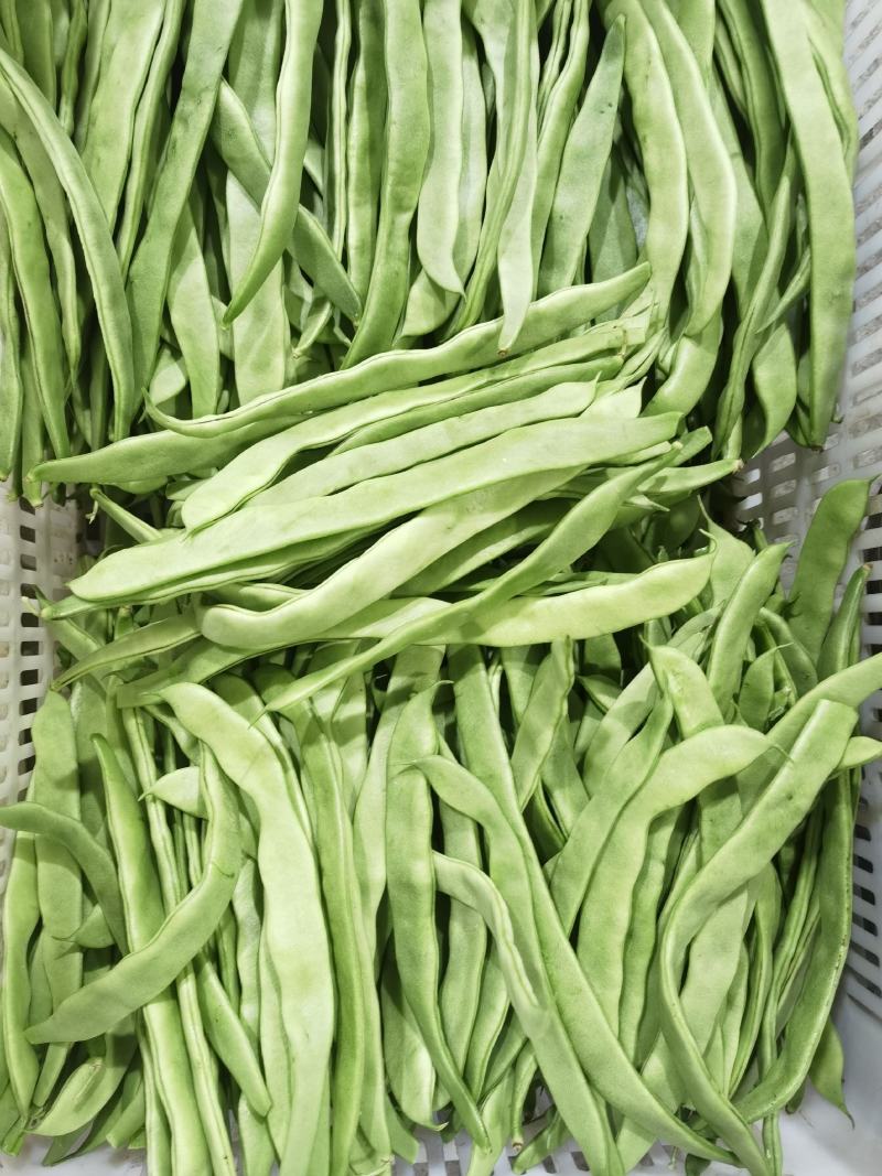 扁豆，基地种植，一手货源，自配冷库，支持各种规格包装