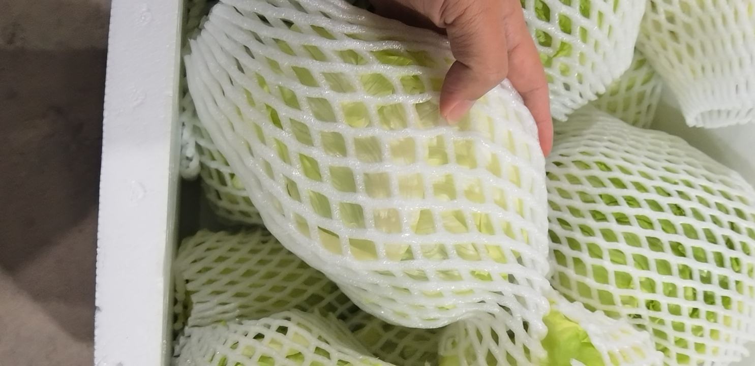 结球生菜在超市货架上的陈列图