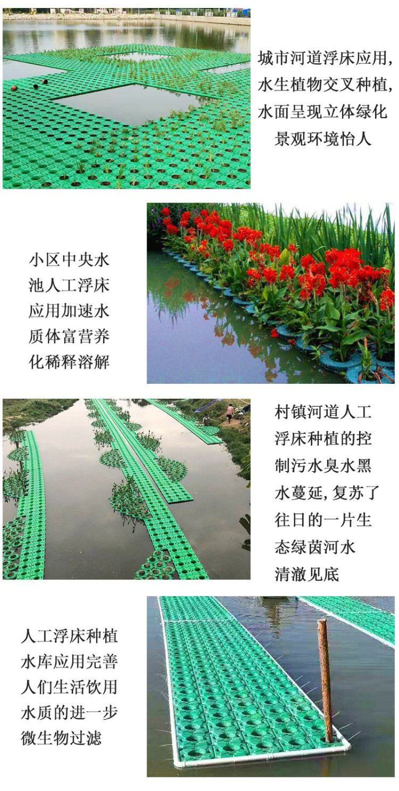 永信水生植物生态浮岛专业组装当年见效保质保量