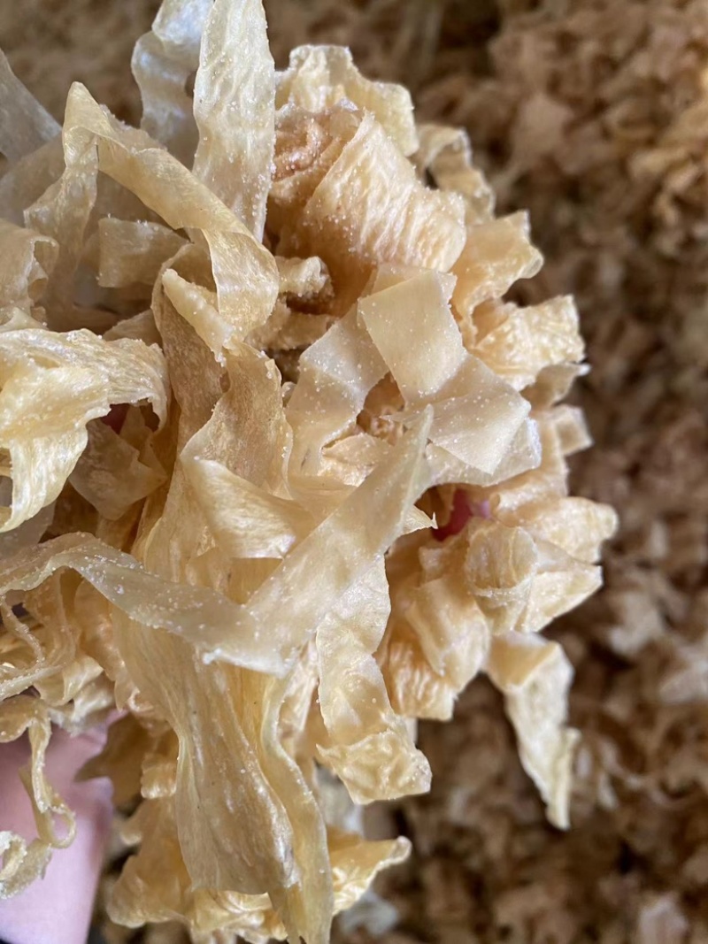 豆皮丝豆皮干货豆花豆皮块无盐干货