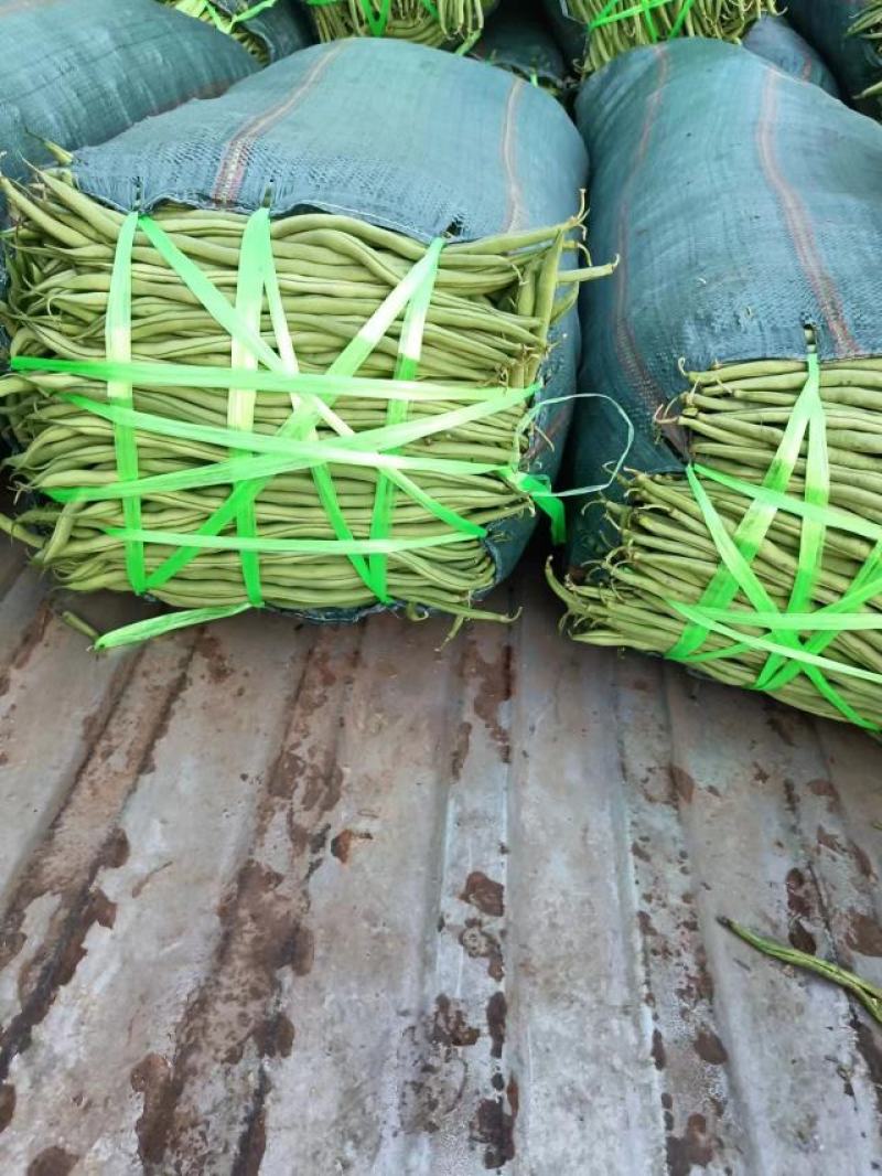 云南孟定精品无筋豆，露天反季节蔬菜，农户一手货源，