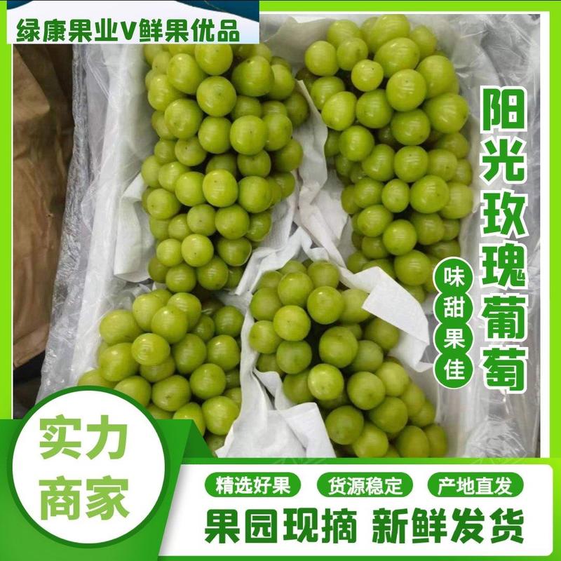 阳光玫瑰葡萄精品葡萄冷库储存精品果电商果规格齐全