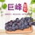 【推荐】河北晋州精品巨峰葡萄冷库出货规格齐全欢迎订购