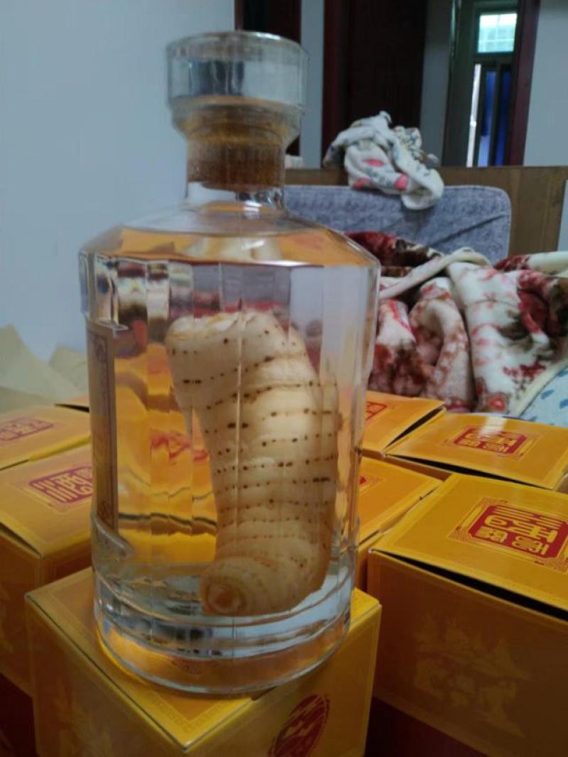高原乌红天麻！天然生长，纯粮食十年酒制作，品味浓香