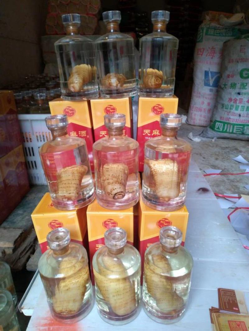 高原乌红天麻！天然生长，纯粮食十年酒制作，品味浓香
