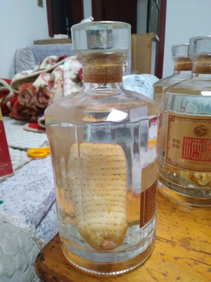 高原乌红天麻！天然生长，纯粮食十年酒制作，品味浓香