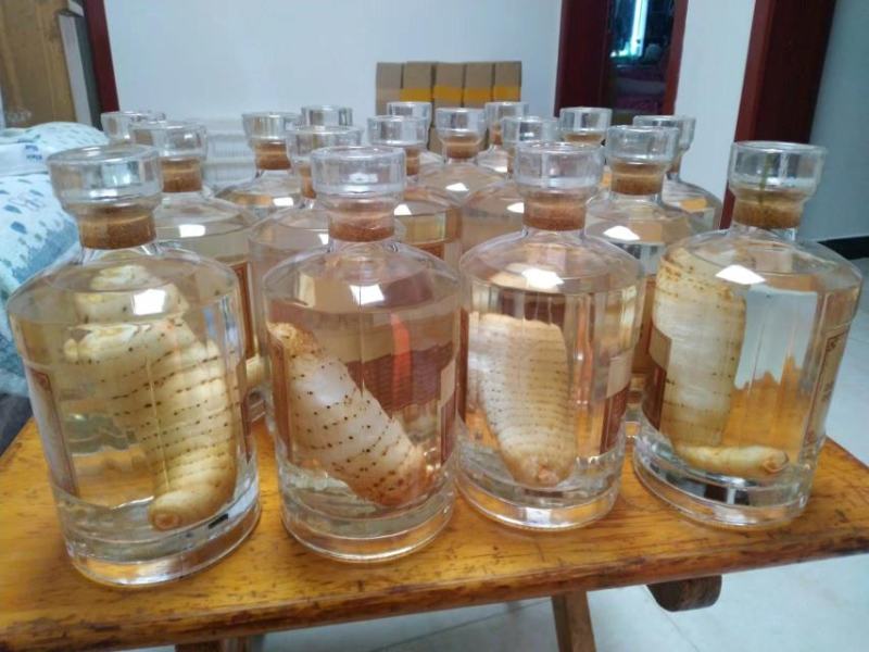 高原乌红天麻！天然生长，纯粮食十年酒制作，品味浓香