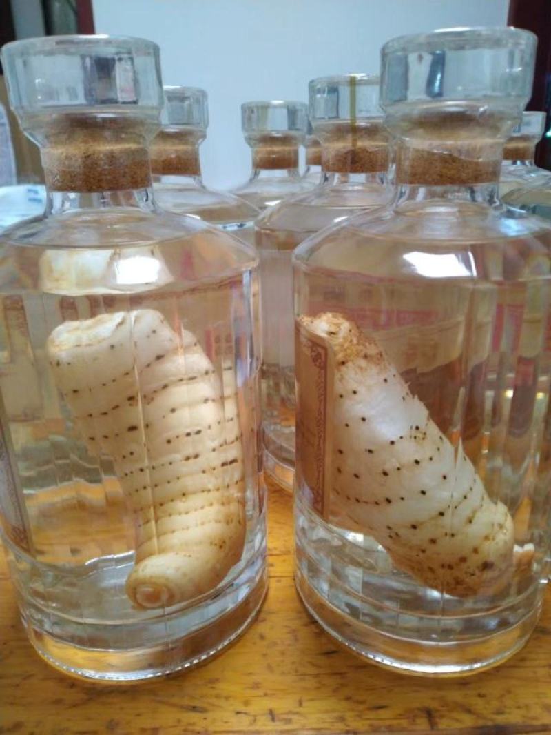 高原乌红天麻！天然生长，纯粮食十年酒制作，品味浓香