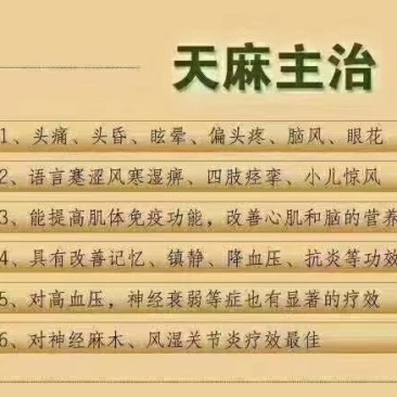高原乌红天麻！天然生长，纯粮食十年酒制作，品味浓香