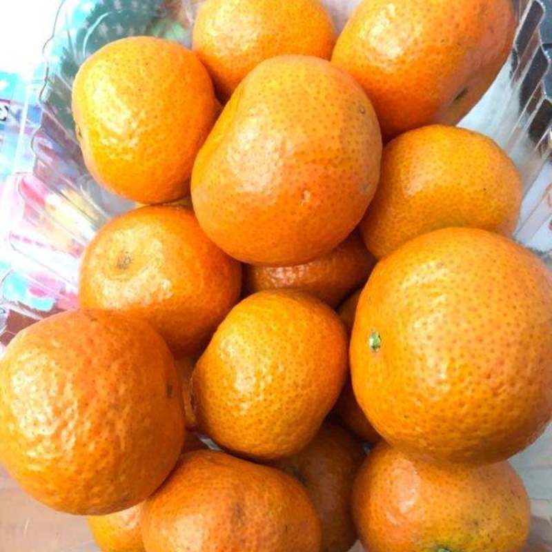 【热卖】广西砂糖橘大量上货源充足，品质优，颜色靓，甜度高
