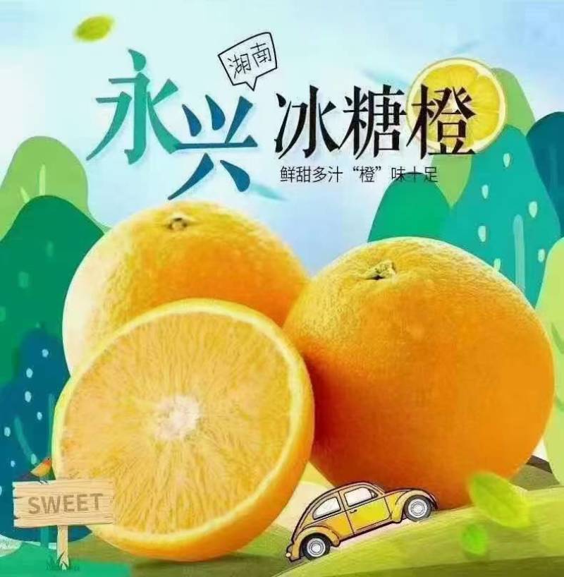 永兴冰糖橙基地直发，正宗的
