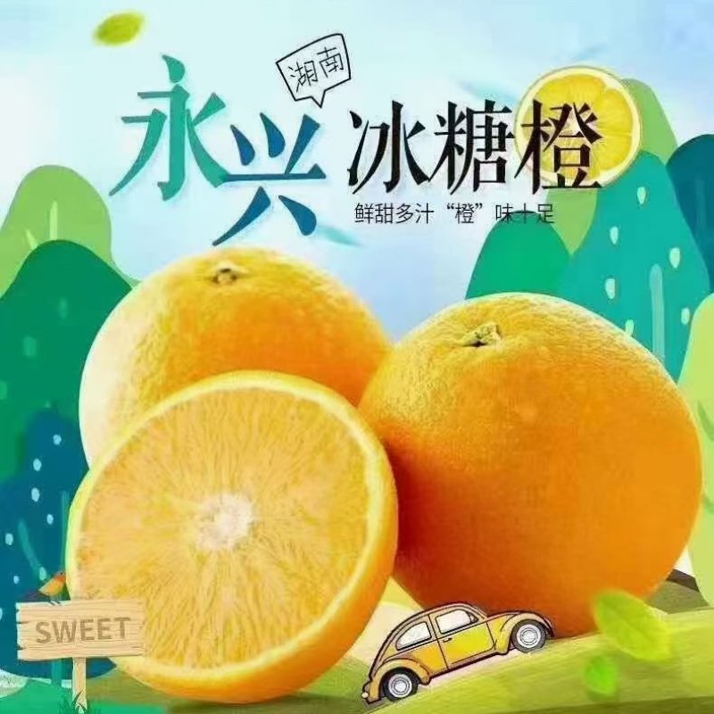 永兴冰糖橙基地直发，正宗的