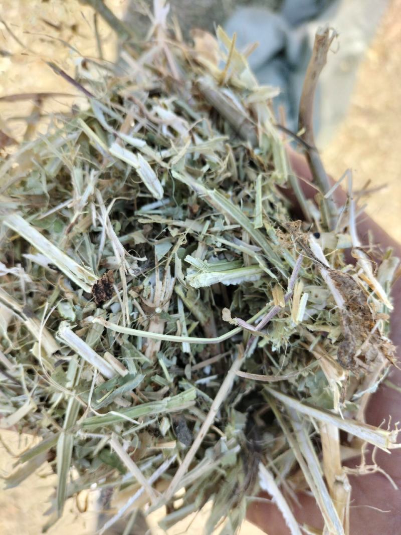 【全年实力供货】花生秧草料牛羊马驴食草动物优质草料产地直供