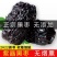 紫晶黑枣正宗大乌枣大颗粒泡酒陕北特产泡酒零食整箱批发